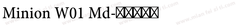 Minion W01 Md字体转换